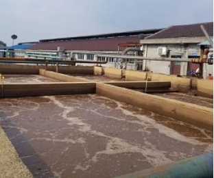出水氨氮大于進(jìn)水氨氮，怎么回事？
