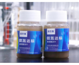 生化系統(tǒng)崩潰，氨氮超標(biāo)，我該怎么辦?